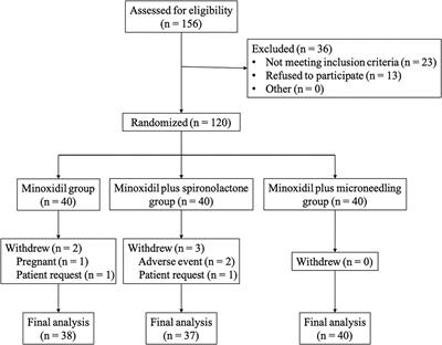 Efficacy and Safety of 5% Minoxidil Alone, Minoxidil Plus Oral Spironolactone, and Minoxidil Plus Microneedling on Female Pattern Hair Loss: A Prospective, Single-Center, Parallel-Group, Evaluator Blinded, Randomized Trial